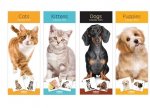 2025 Calendar Super Slim Dogs,Cats,Kittens,Puppies