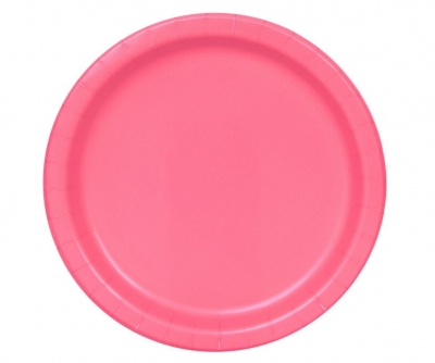 8 Hot Pink 9inch Dinner Plates