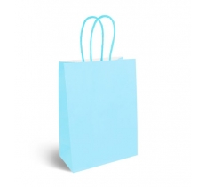 Baby Blue Paper Party Bag with Coloured Handles (16 x22X8CM)