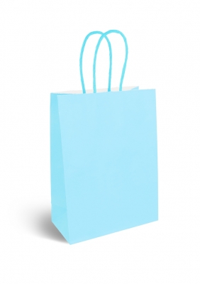 Baby Blue Paper Party Bag with Coloured Handles (16 x22X8CM)