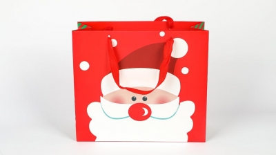 Santa Red Gift bag small 25x21x10cm