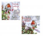 Christmas Robin Traditional Card 12pk