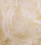 Eleganza Feathers Mixed Sizes 3Inch-5Inch 50G Bag Ivory