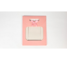 Pink Small Gift Bag 24 x 19 x 9cm