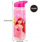 Princess Drinking Bottle with Straw 650ml