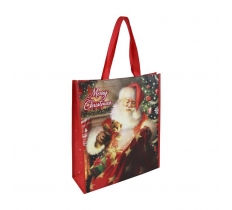 Christmas Traditional Santa Small PP Woven