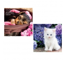 2025 Calendar Sq Kittens and Puppies