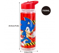 Sonic Drinking Bottle with Straw 650ml