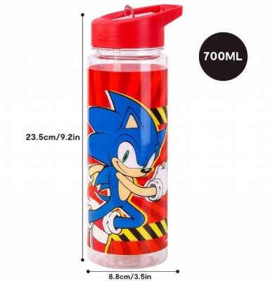 Sonic Drinking Bottle with Straw 650ml