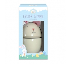 Paint Your Own Bunny Decoration