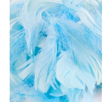 Eleganza Feathers Mixed Sizes 3"-5" 50G Bag Light Blue No25