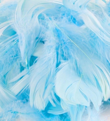 Eleganza Feathers Mixed Sizes 3"-5" 50G Bag Light Blue No25