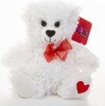 20cm Valentines Bear White