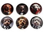 Cynocelpahy Dog Head Compact Mirror