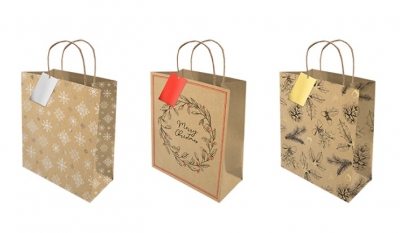 Christmas Medium Foiled Kraft Gift Bag