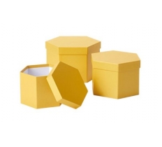Hexagonal Hat Boxes Honeycomb Set of 3