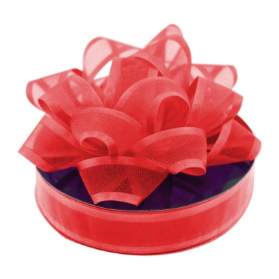 Organza Ribbon Red