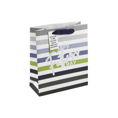 Happy Father's Day Medium Gift Bag