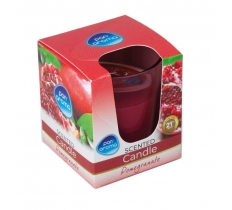 Clear Glass Candle - Pomegranate