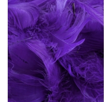 Eleganza Feathers Mixed Sizes 3"-5" 50G Bag Purple No.36