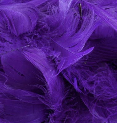 Eleganza Feathers Mixed Sizes 3"-5" 50G Bag Purple No.36