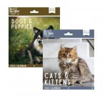 2025 Square Calendar Cats & Dogs