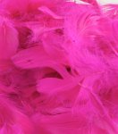 Eleganza Feathers Mixed Sizes 3Inch-5Inch 50G Bag Fuchsia