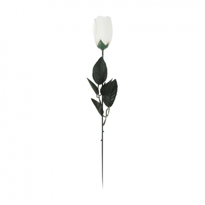 White Rose In Acetate