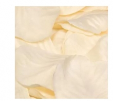 Eleganza Rose Petals - Cream 164Pcs