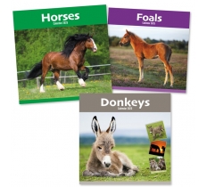 2025 Calendar Sq Donkeys, Horses & Foals