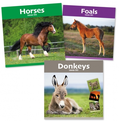 2025 Calendar Sq Donkeys, Horses & Foals