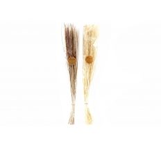 90cm Slim Dried Foxtail Bouq.