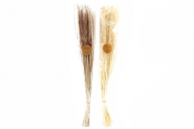 90cm Slim Dried Foxtail Bouq.