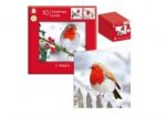 Christmas Square Robins 2 Design Card Pack Of 10