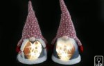 43cm Mr or Mrs LED Stars Gonk