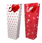 Valentines Day Flower Gift Bag