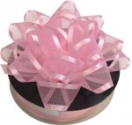 Organza Ribbon Light Pink