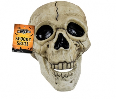 Halloween Skull Decoration with Black Line Detail