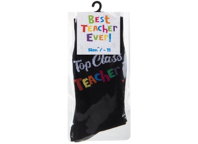 Teachers Socks 2 Assorted