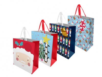 Christmas Cute Luxury Medium Gift Bag