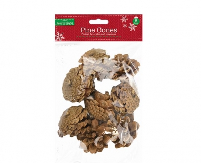 Pine Cones 8 Pack