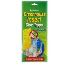Green House Fly Catcher 3 Pack