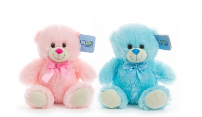 25cm Pink And Blue Bear