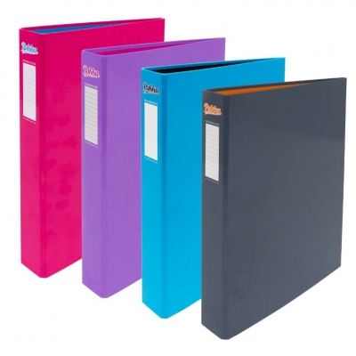 Pukka Neon Assorted Ringbinder