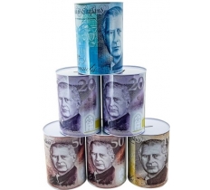 Money Tin Large 15 x 22cm