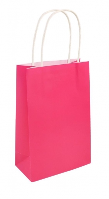 Hot Pink Party Bag With Handles 14 x 21 x 7cm