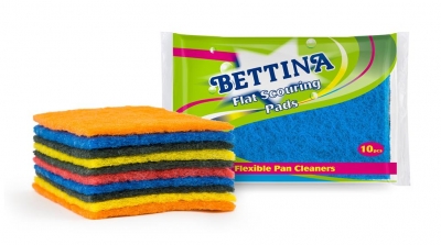 Bettina 10 Pc Scouring Pads