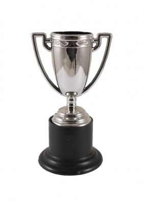 Mini Silver Trophies (10cm)