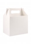 White Lunch Boxes ( Medium )