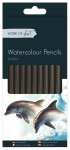 Watercolour Pencils 12 Pack